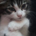 Profil fotoğrafı
