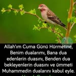 Sevda