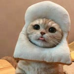 Ümit
