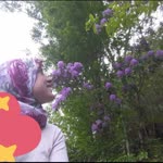 Songül