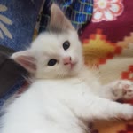 Profil fotoğrafı