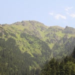 Duygu