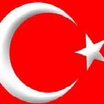 Ergin