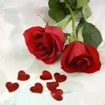 Ayse