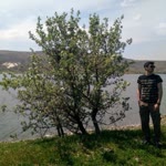 Hayri