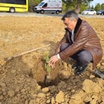 Nezir