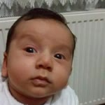 Özgür