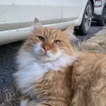 Zeynep