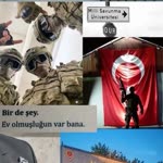 Erva