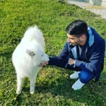 Davut