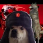 Mert