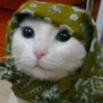 Ayşe
