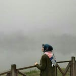 Feyza