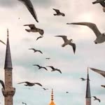Büşra
