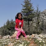 Ayse