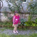 Şahin