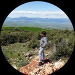 Talha