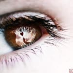 Ebru