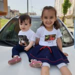 Halis