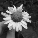 Gizem