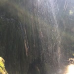 Talha