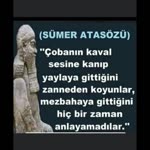 Aslı