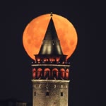 Mert