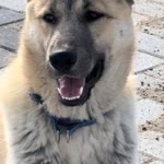 Kuzey
