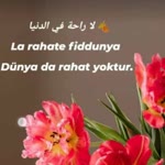 İrem