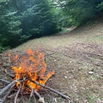 Ergin