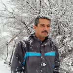 Ali