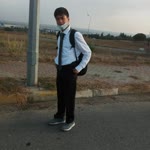 Doğan