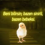 Hayri