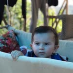 Erdal