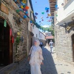 Elanur