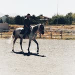 Sadık