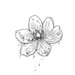 Selen