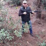 Barış