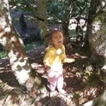 Vlog
