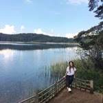Ceren