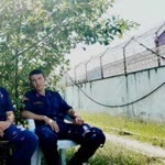 Sedat