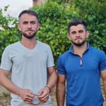 Bulut