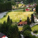 Birgül