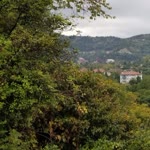 Şaden