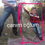 Selcan