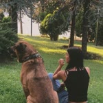 Pelin