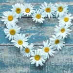 İrem