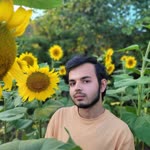 Umut