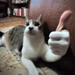 Onur