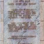 Şahin